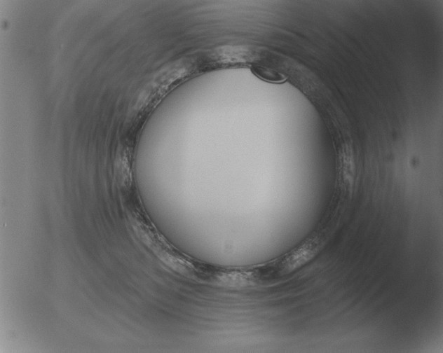 X0000051920422200507082100