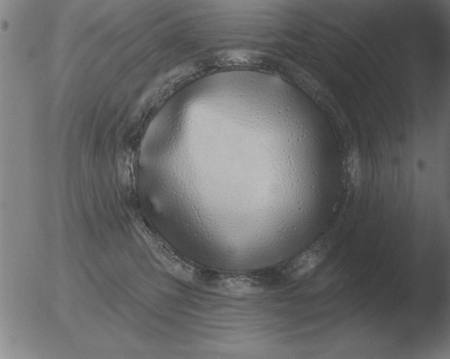 X0000051920423200507082100