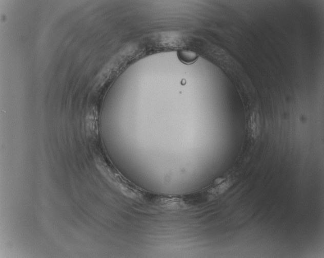 X0000051920424200507082100