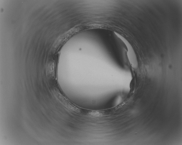 X0000051920425200507082100