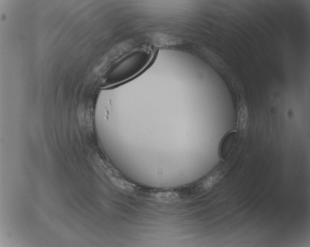 X0000051920426200507082100