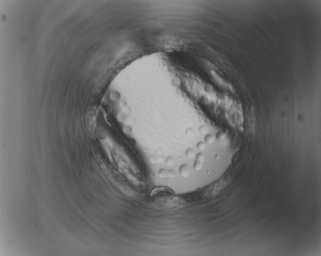 X0000051920427200507082100