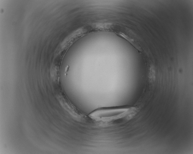 X0000051920428200507082100