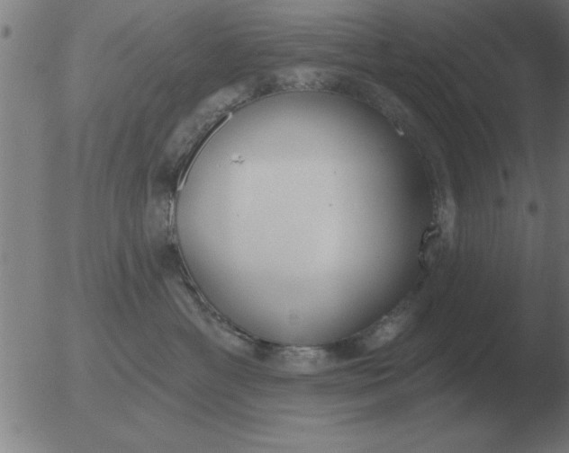 X0000051920429200507082100