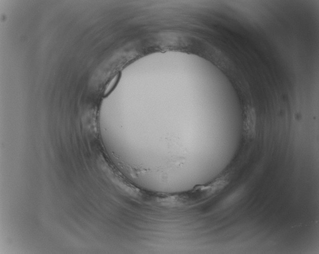 X0000051920430200507082100