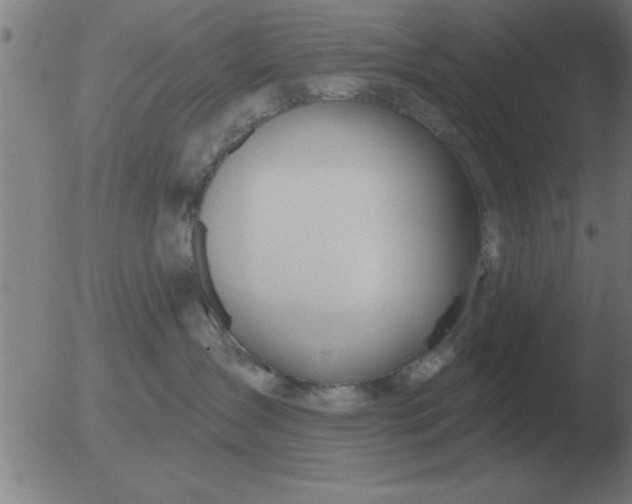 X0000051920431200507082100