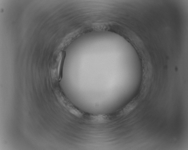 X0000051920432200507082100