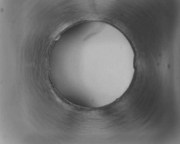 X0000051920433200507082059