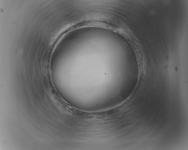 X0000051920434200507082059