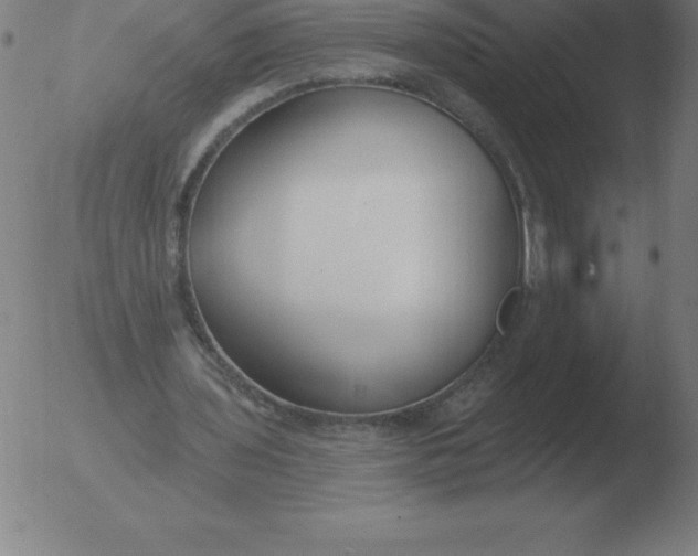 X0000051920435200507082059