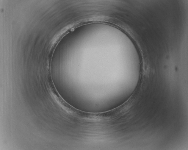 X0000051920437200507082059