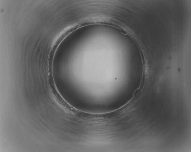 X0000051920438200507082059