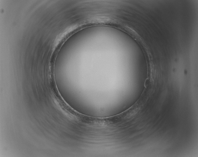 X0000051920439200507082059