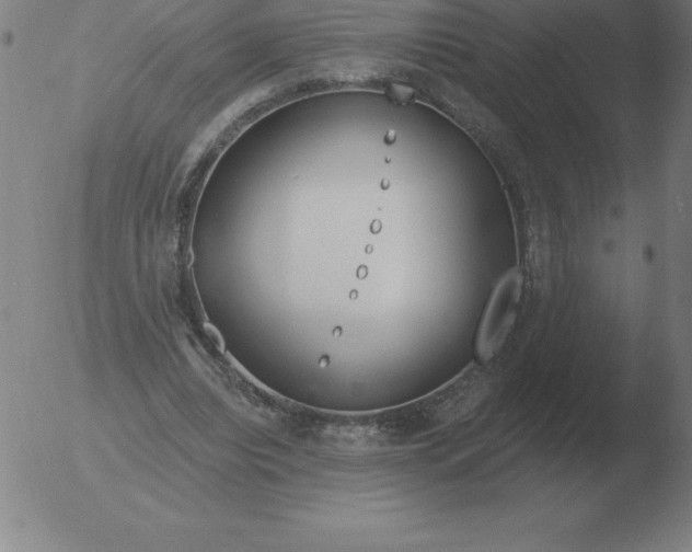 X0000051920440200507082059