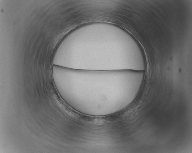 X0000051920441200507082059