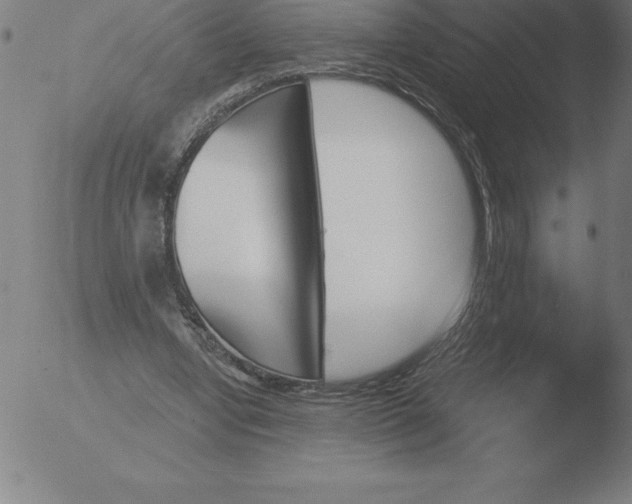 X0000051920442200507082059