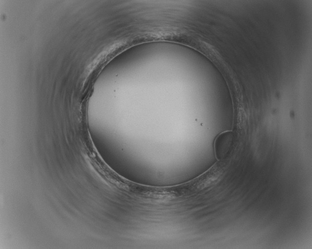 X0000051920443200507082059