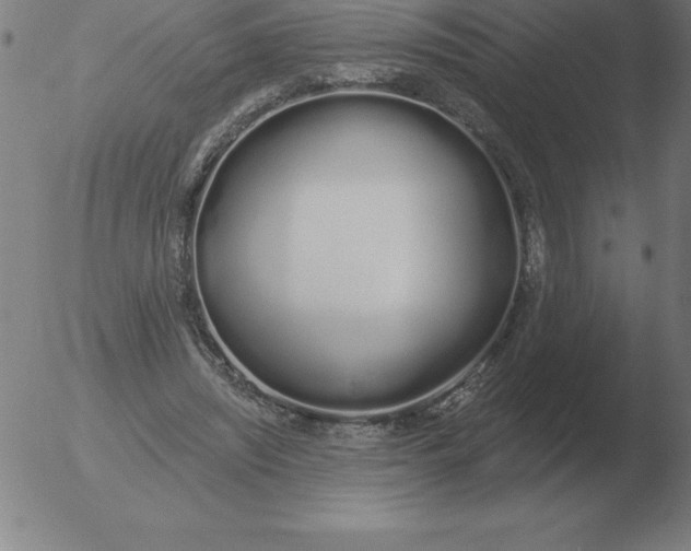 X0000051920444200507082059