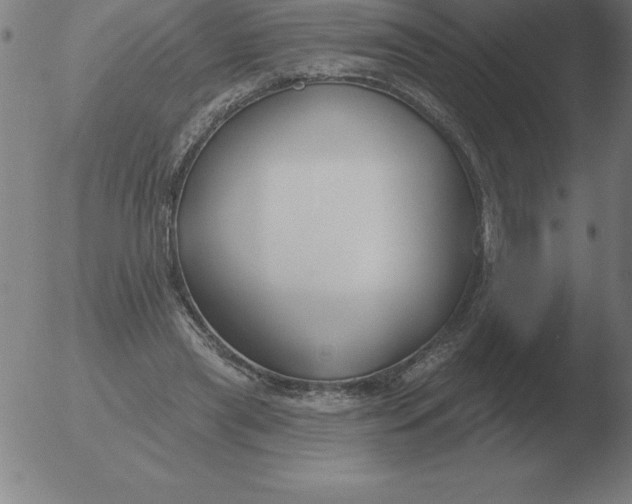 X0000051920445200507082059