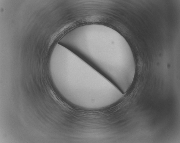 X0000051920446200507082059