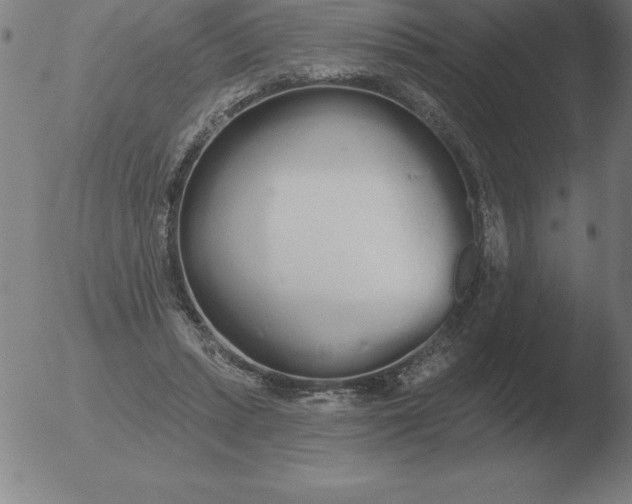 X0000051920447200507082059