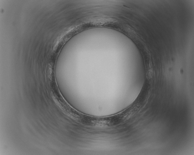 X0000051920448200507082059