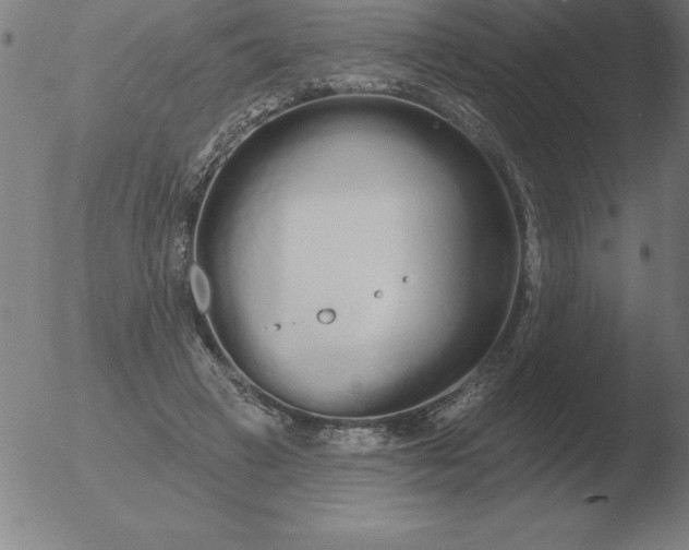 X0000051920449200507082059