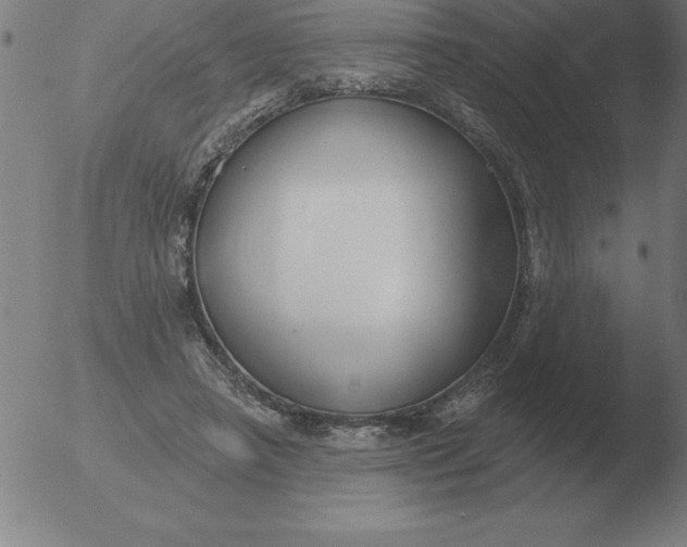 X0000051920450200507082059