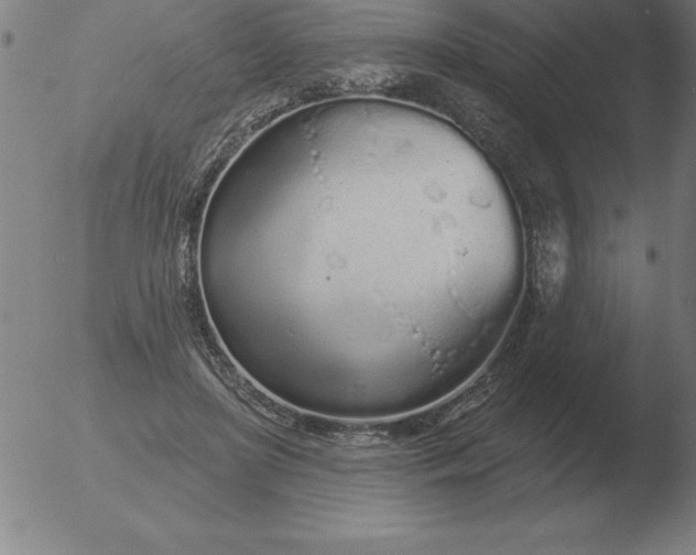 X0000051920451200507082059