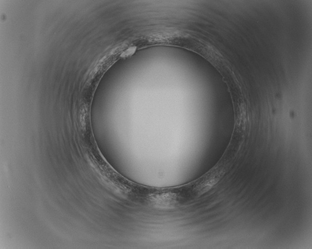 X0000051920452200507082059