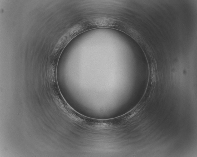 X0000051920453200507082059