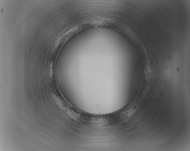 X0000051920454200507082059