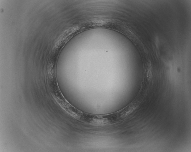 X0000051920455200507082059