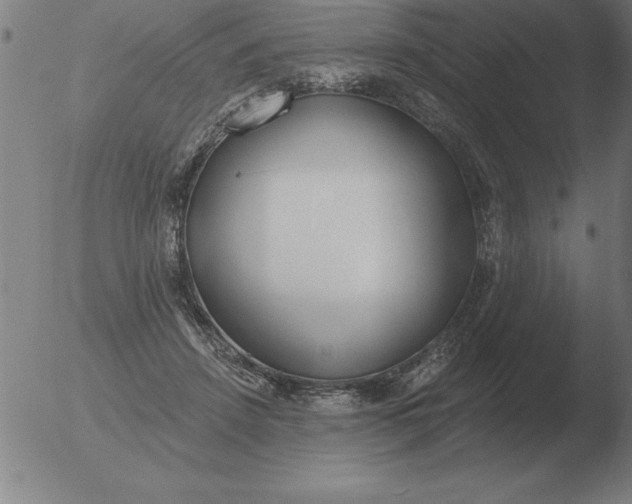 X0000051920456200507082059