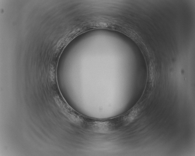 X0000051920457200507082059