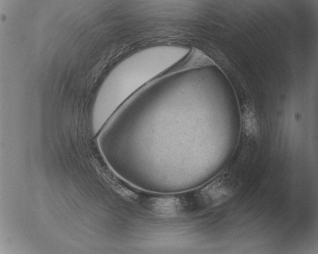 X0000051920458200507082059