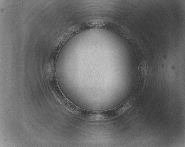 X0000051920460200507082059