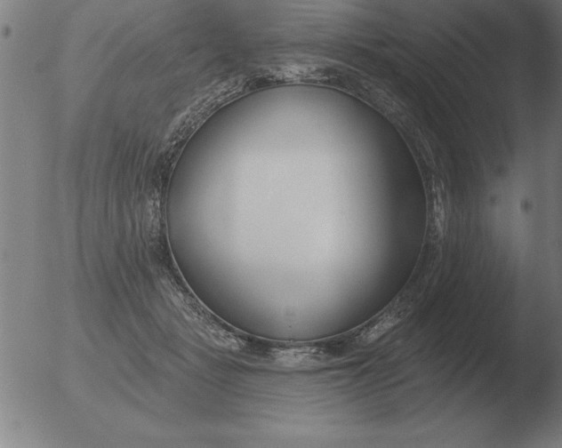 X0000051920461200507082059