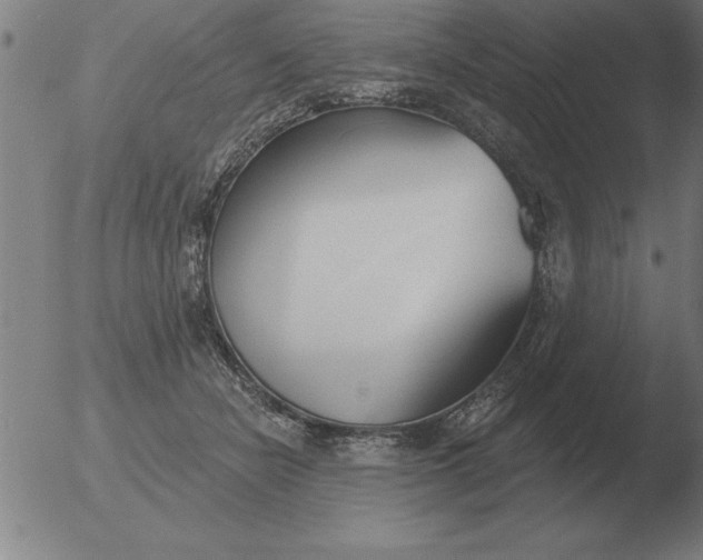 X0000051920462200507082059