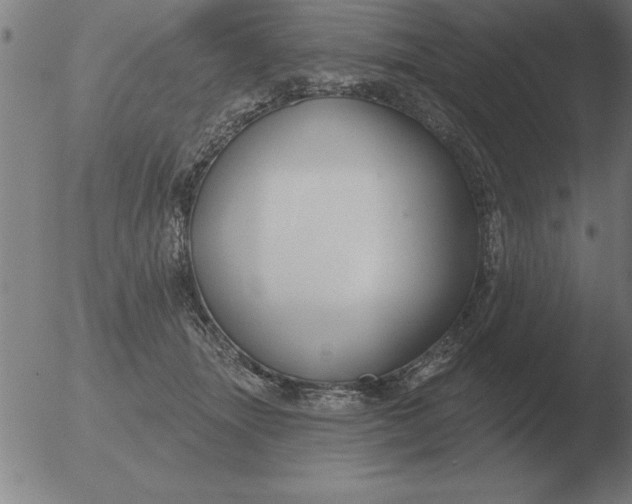 X0000051920463200507082059