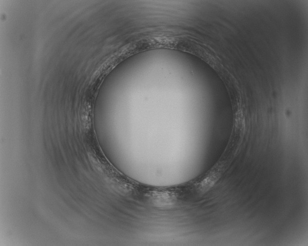 X0000051920464200507082059