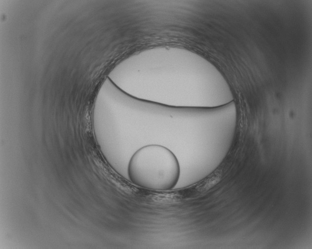 X0000051920465200507082059