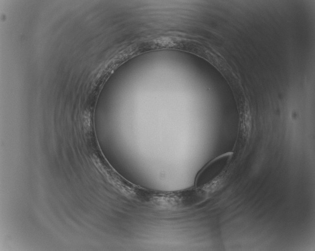 X0000051920466200507082059