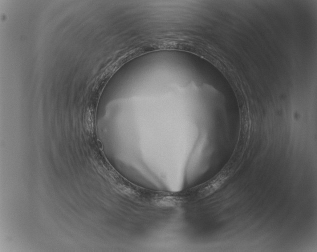 X0000051920467200507082059