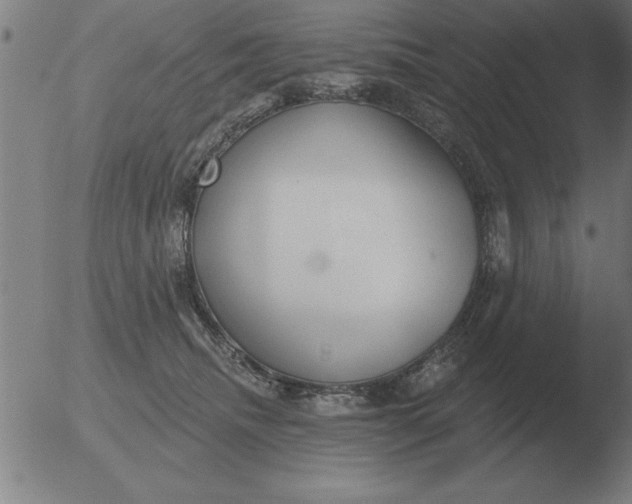 X0000051920468200507082059