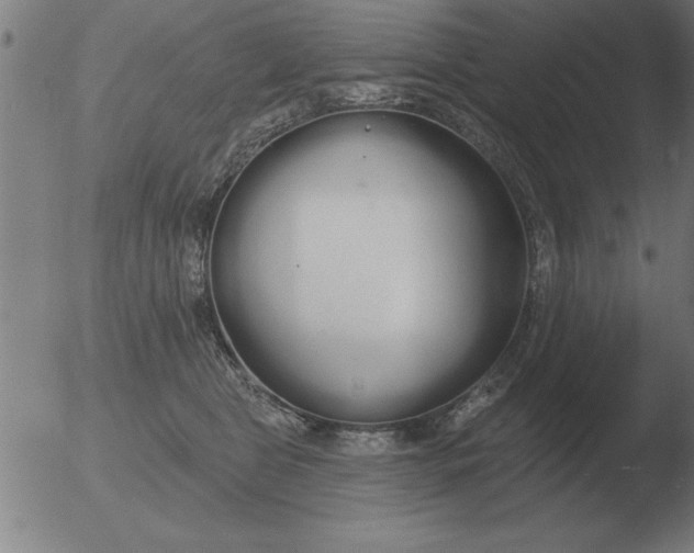 X0000051920469200507082059