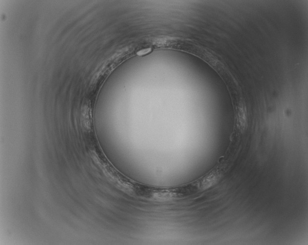 X0000051920470200507082059