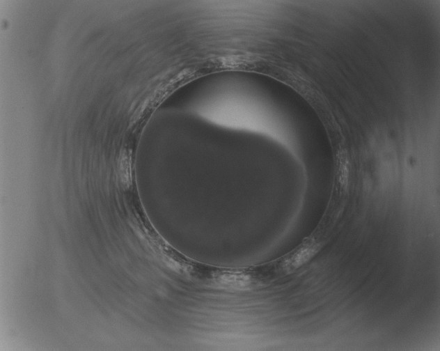 X0000051920471200507082059