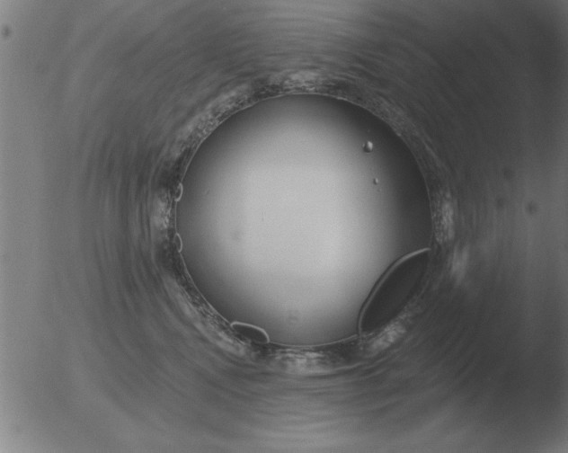 X0000051920472200507082059