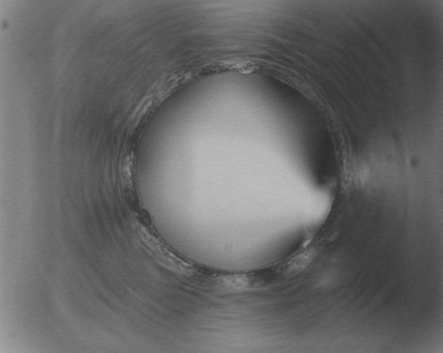 X0000051920473200507082059